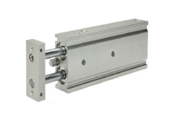 Double piston cylinder with guide EXSM (6-32)